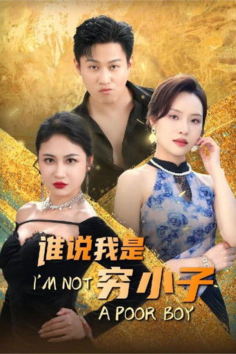 谁说我是穷小子 poster
