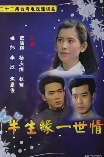 半生缘一世情 poster