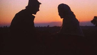 Episode 2 — Episode 2