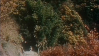 #4 The Weald