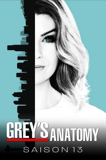poster serie Grey's Anatomy Saison - 13