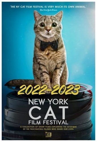 2022–2023 New York Cat Film Festival poster