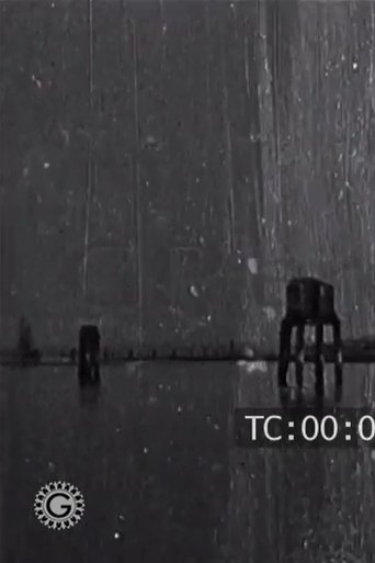 Venise - Promenade en gondole poster