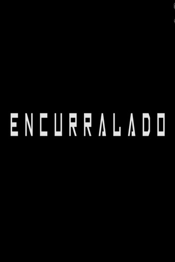 Encurralado poster
