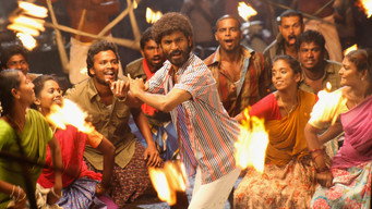 #18 Anegan