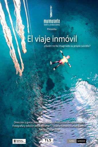 The motionless journey poster