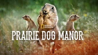 #3 Prairie Dog Manor