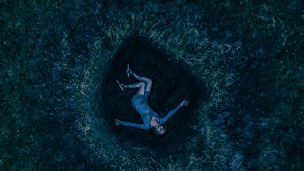 Pasture (2020)
