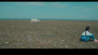 The White Yak (2016)