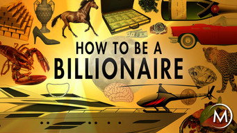 How to Be a Billionaire (2014)