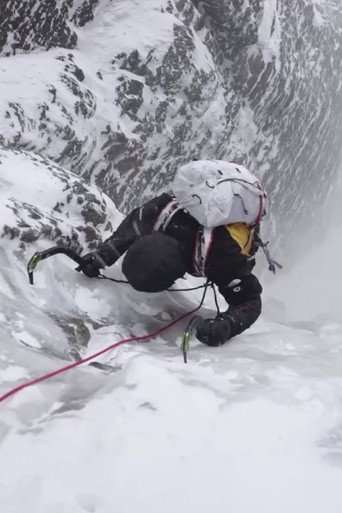 A Not So Mellow Adventure