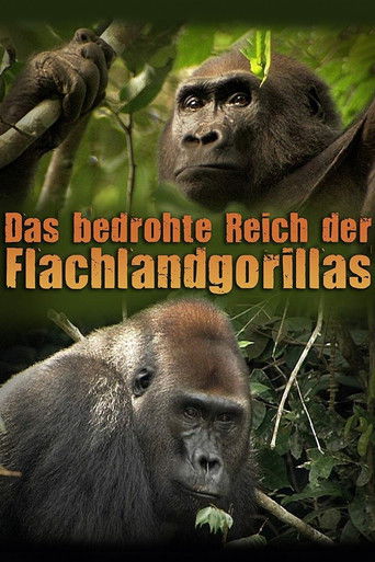 Das bedrohte Reich der Flachlandgorillas poster