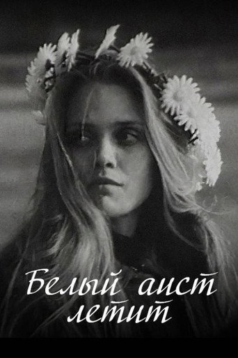 Белы бусел ляціць