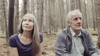 To the Mountain (2017)