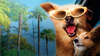 Cena 3 de Dr. Dolittle 5