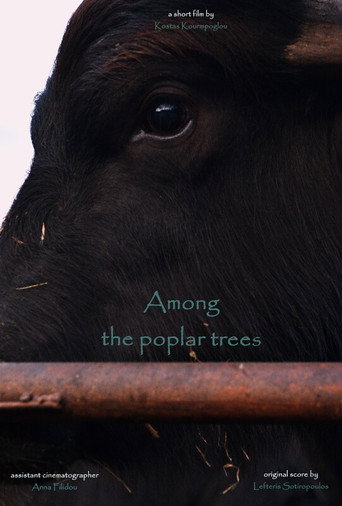 Among the poplar trees (1970)