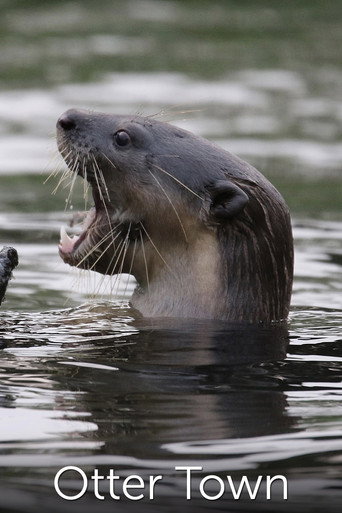 Otter Town (2016)