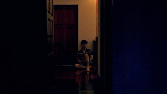 Tropical Night (2017)