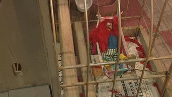 Episode 82 — Episode 82