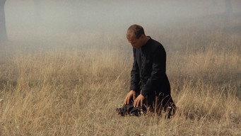 #5 Agnus Dei