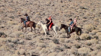 #6 Powder Burns