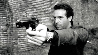 Segreto di stato (1995)