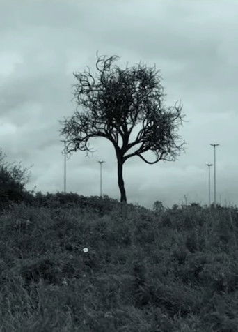 For Those I Love | Full Live Set | Other Voices Series 19 poster