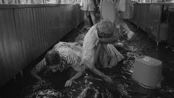 #15 Кухня