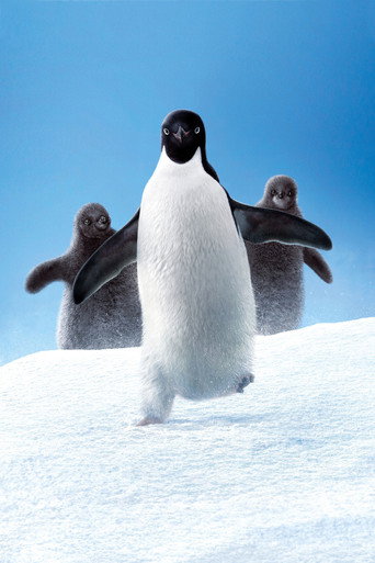 Penguins poster