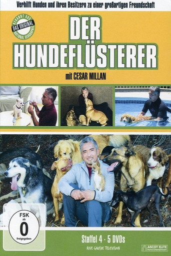 Staffel 4