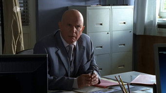 第33話：Episode 33