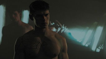 Galeria 4 - Nevrland