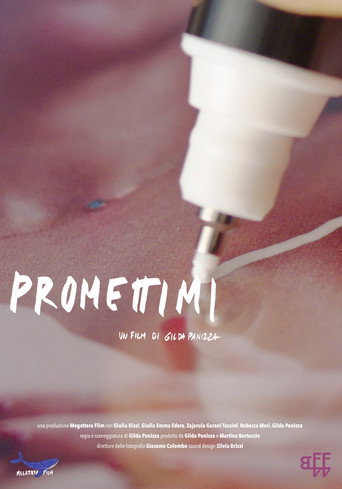 Promettimi (2026)