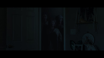 Postmortem (2026)