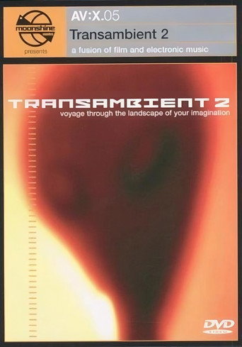Poster for Moonshine Movies Presents AV:X.05 - Transambient 2