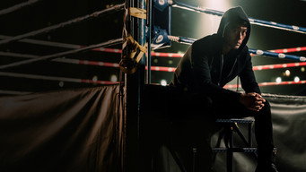 Quan Dao: The Journey of a Boxer (2020)