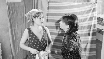 #23 Ladies of the Courtyard