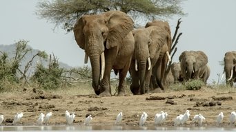 Once Upon a Time in Tsavo - S1E01
