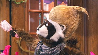 Episode 18 — Furcut Day