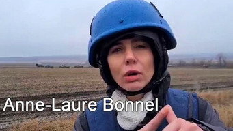 Donbass (2016)