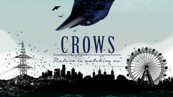 Crows - Nature Is Watching Us (2023)