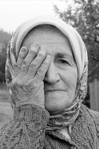 Піктограма (2007)