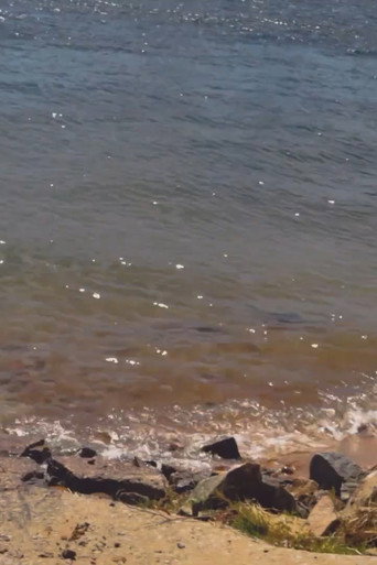Rio, Memórias, Recomeços...
