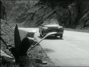 Episode 1 — Episode 1