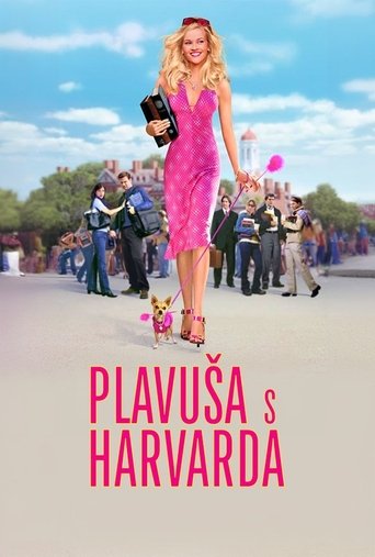 Plavuša s Harvarda
