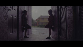 #79 Проєкт «Флорида»