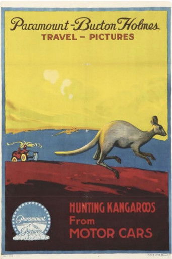 Hunting Kangaroos from Motor Cars