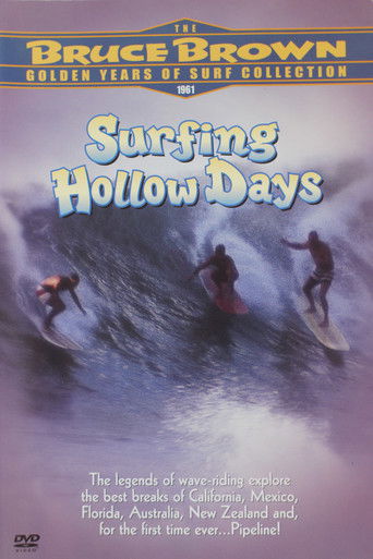 Surfing Hollow Days poster 7