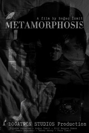 METAMORPHOSIS (2024)