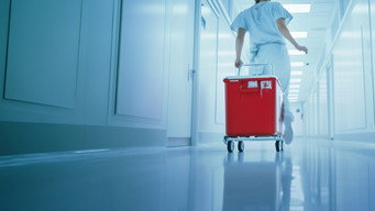 Operation Transplant (2025- )